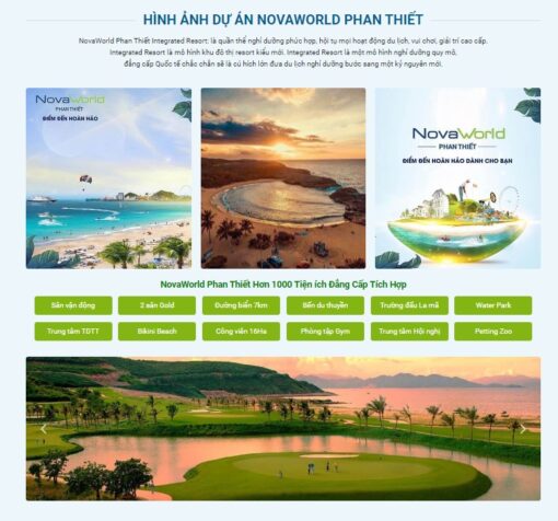 mẫu thiết kế website